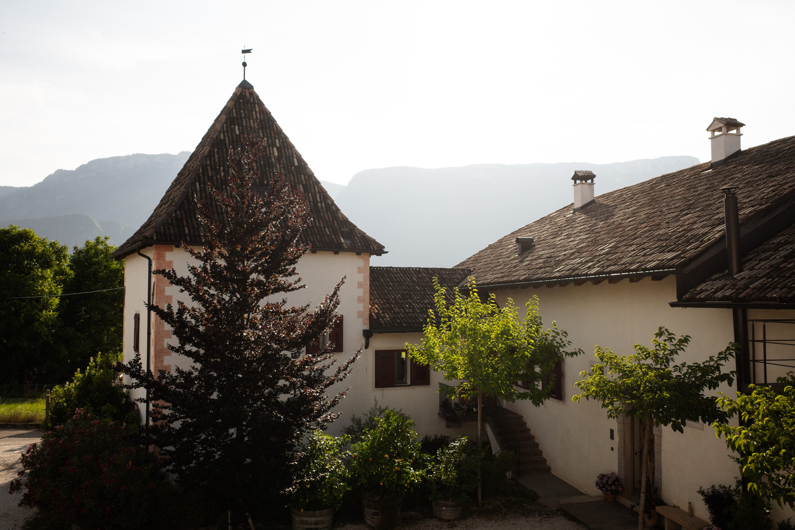 Niedrist_17.06.25_HighRes-004