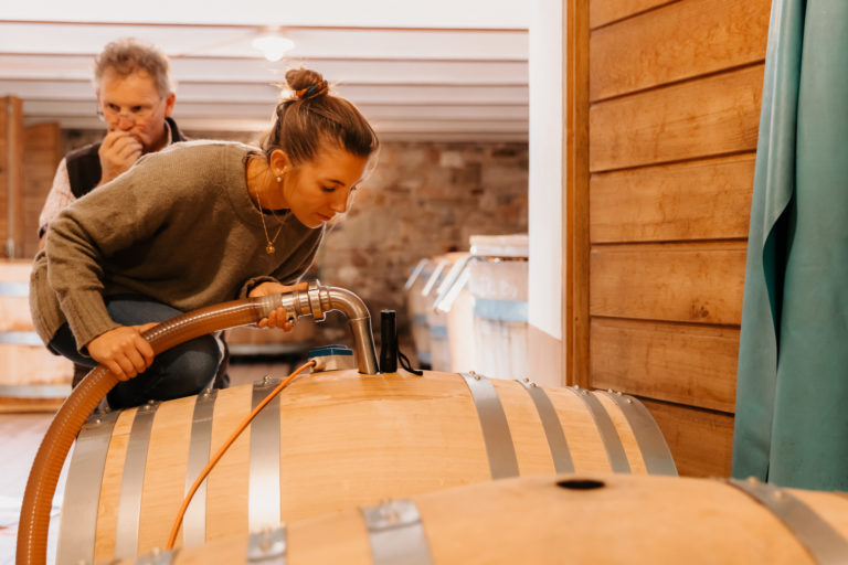 Suedtirol, Weingut Ignaz Niedrist, Erntezeit 2022,
