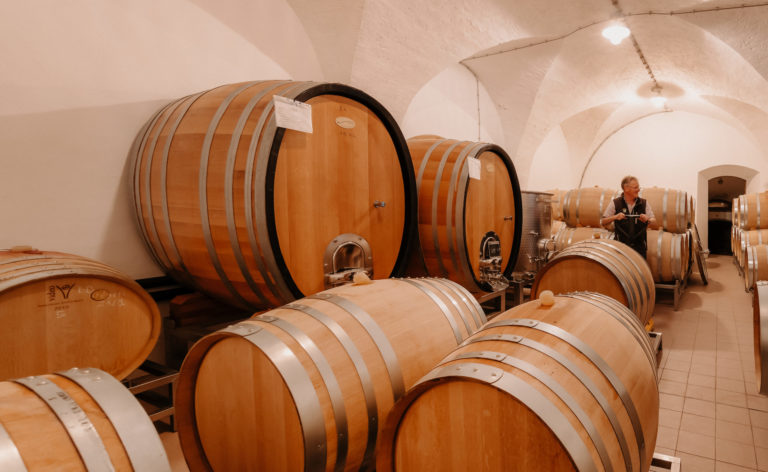 Suedtirol, Weingut Ignaz Niedrist, Erntezeit 2022,